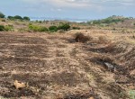 Lahan lombok 3