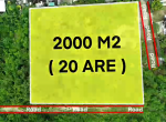 Screenshot 2026-06-18 103100